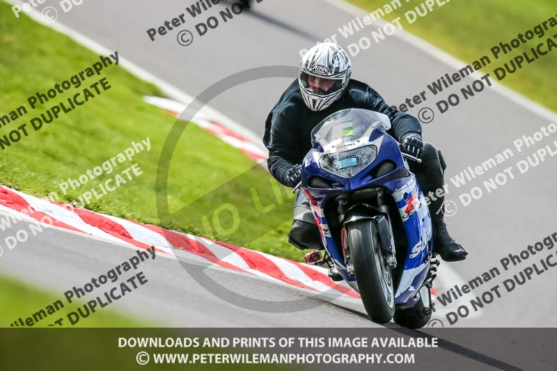 Oulton Park 21st March 2020;PJ Motorsport Photography 2020;anglesey;brands hatch;cadwell park;croft;donington park;enduro digital images;event digital images;eventdigitalimages;mallory;no limits;oulton park;peter wileman photography;racing digital images;silverstone;snetterton;trackday digital images;trackday photos;vmcc banbury run;welsh 2 day enduro